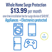 Whole Home Surge Protection Program