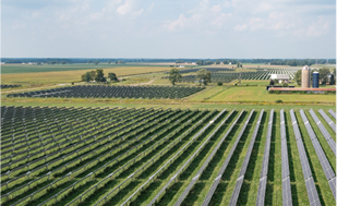 A wide view of a solar farm installed on agricultural land, featuring multiple rows of solar panels stretching across green fields. The background includes open farmland, trees, and a distant structure, indicating a rural setting focused on renewable energy and sustainable practices.