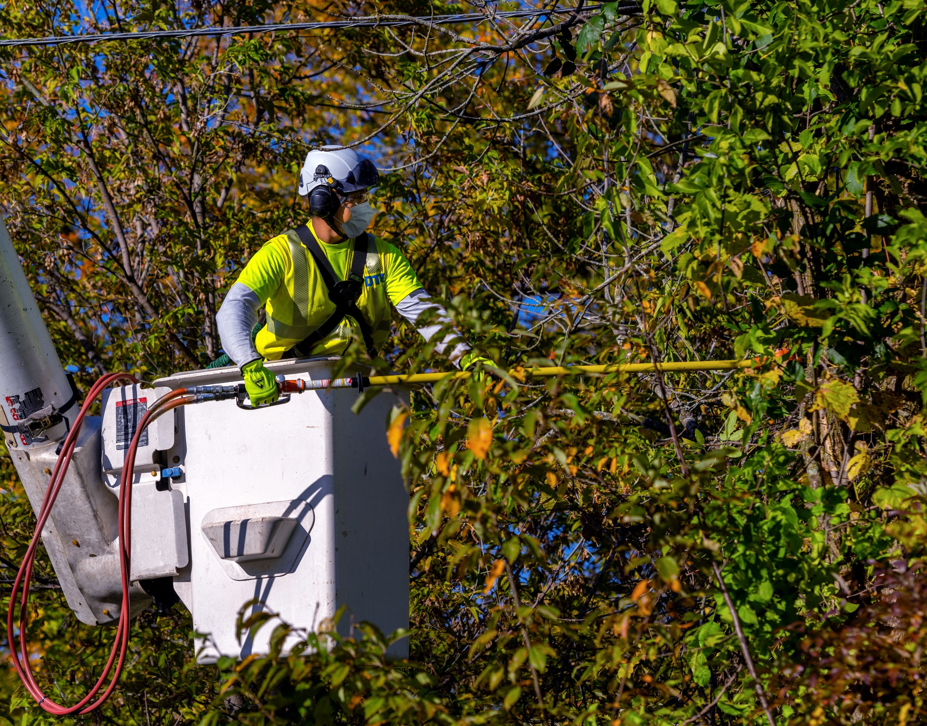 DTE Lineman working on cutting tree limbs