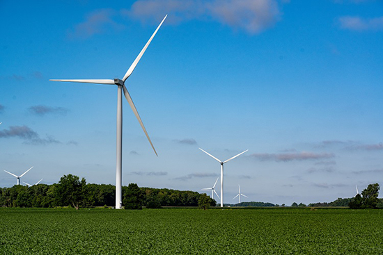 Windmill Field